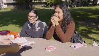 Fortune Tellers Book of Days by Murphy's Magic & Paul Green