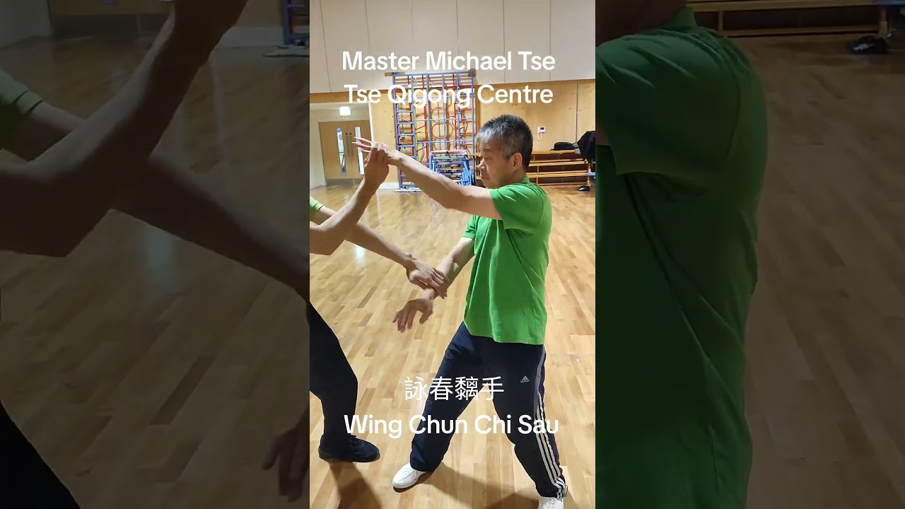 詠春黐手 Wing Chun Chi Sau 