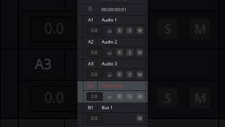 How to Fix Voiceover Double Audio/Echo in Davinci Resolve #short #davinciresolve #audio #fixed