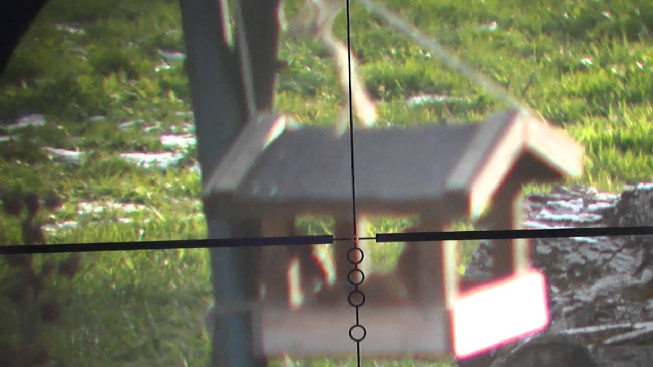 Nikon Prostaff 5 Illuminated BDC reticle @14x ZOOM on 16 ...