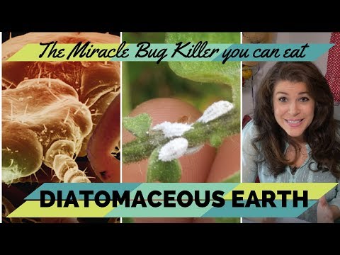 Video: May Diatomaceous earth ba ang Walmart?