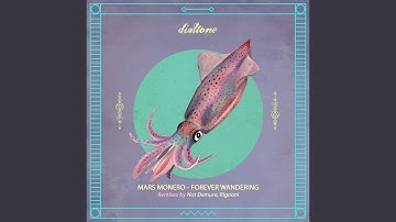 We Searched for a Source (RIGOONI Remix)