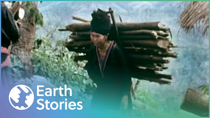 The Shrinking Tribe That Has Been Forced Out Of Their Homeland | Disappearing World