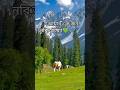 আমার এক জন নবিআছেন!mk rumon