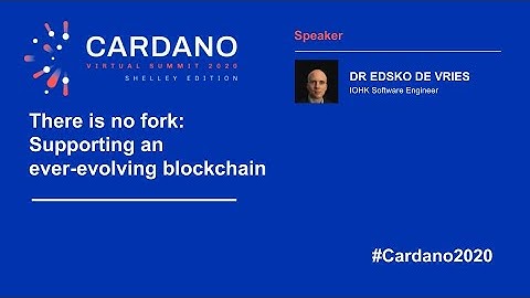 There is no fork: supporting an ever evolving blockchain - Part 1