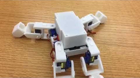 3D printed MiniKame quadraped robot.