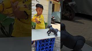 don't take my banana😭#shorts #fyp #funny #trending