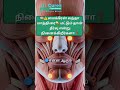 மைக்ரேன் காரணம் Neckஆ? 🤔 Truth Revealed. At cures physiotherapy