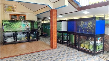 Arm สมุทรสงคราม - งานแก้ไขและ Upgrade ตู้ปลา 3 ใบ (72+72+96) เป็นระบบ Overflow Full Services Set 1