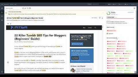 Website Auditor SEO Content Editor