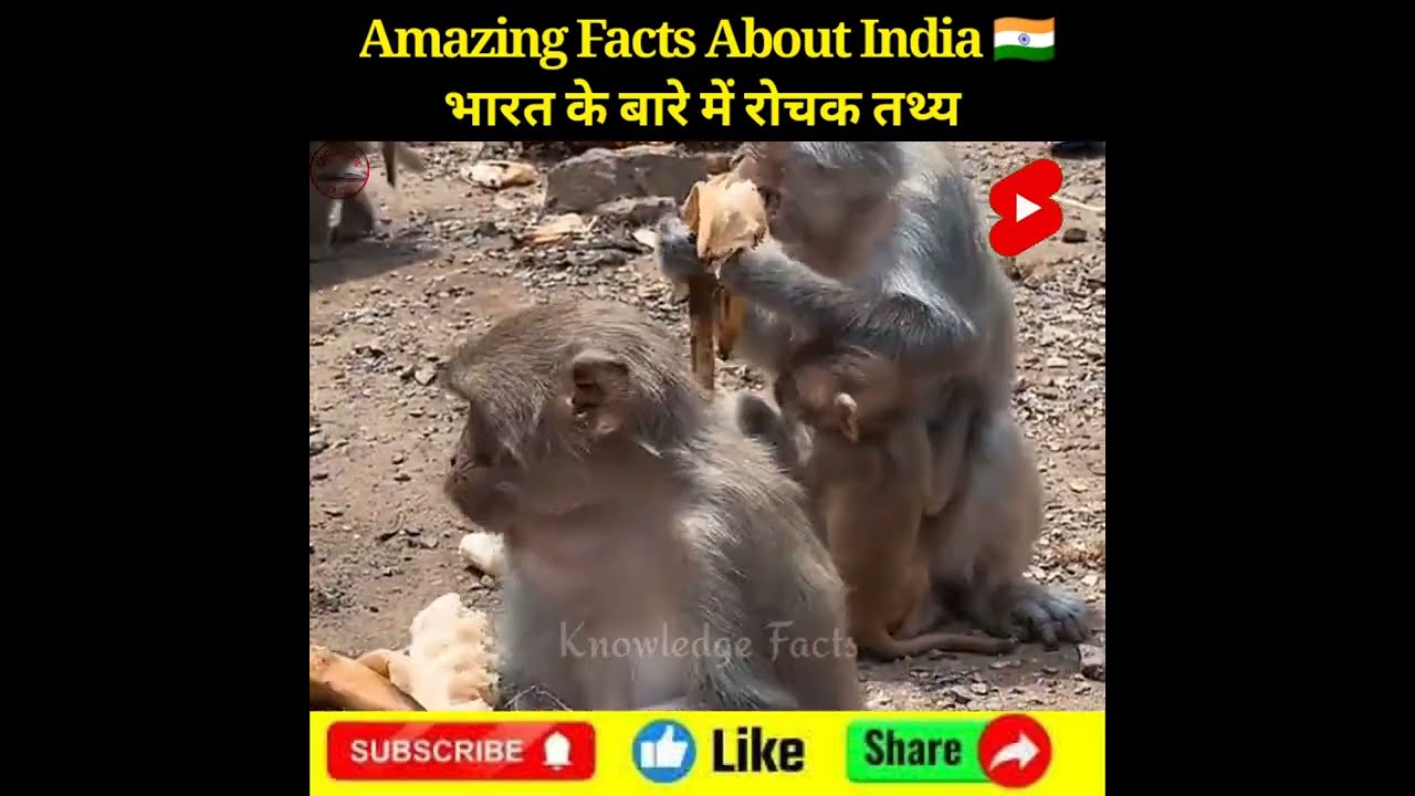 Amazing Facts About India 🇮🇳 ❤️Amazing Facts | Mind Blowing Facts | 