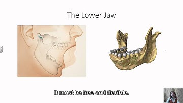 Video Lecture The Organs of Speech and their Functions
