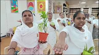 #visav_pariyavaran_divas_programme🌿🌿om shanti🙏🙏 sector 13🇲🇰🇲🇰bahadurgarh#youtubevideo 🌹🌹