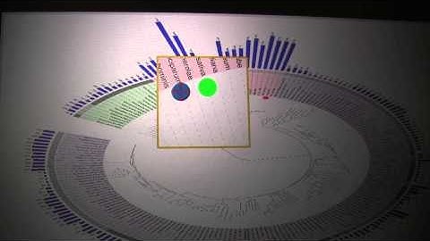 Visualizing and Manipulating Large Information Spaces: Focus+Context technique based on the CubTile