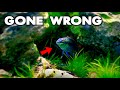 WORST START EVER!! – KRIB TANK FAILURE!! | MD Fish Tanks