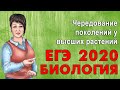 ЕГЭ БИОЛОГИЯ 2020 | ЧЕРЕДОВАНИЕ ПОКОЛЕНИЙ У ВЫСШИХ РАСТЕНИЙ!