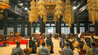 3Day Temple Stay at a 550YearOld Japanese Buddhist Temple | Kakurinbo, Kuonji Temple | ASMR