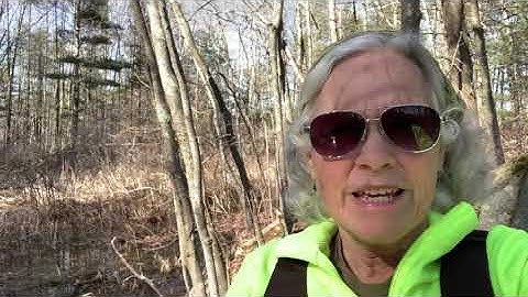 UNE Vernal Pool Monitoring 2020 Virtual Field Trip #2