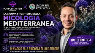 “IN VIAGGIO ALLA RINCORSA DI UN ELETTRONE" ⚡ | PROF. MATTEO GRATTIERI (Conferenza - Estratto LIVE)