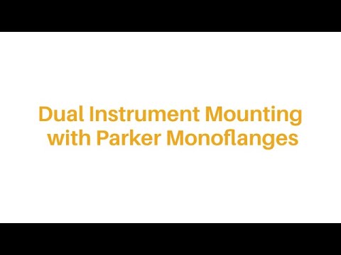 Dual Instrument Mounting with Parker Monoflanges