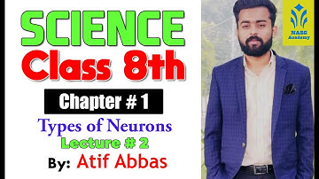 Types of Neurons | Chapter # 1 | Science Class 8th