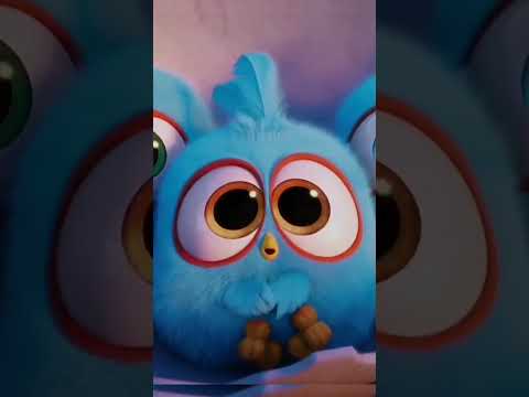 Angry birds baby cute | Angry bird 2. #Angrybir2 #shorts #animasi