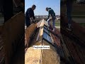 Peglanje krov, lim preko tegole-prepravka tesarija i limarija.. #limar #tesar #krov #tegola #trapez