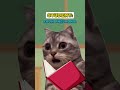 English Teachers Think Everything Has A Deeper Meaning 🥹 (CAT VERSION🐈) @Ryanhdlombard #shorts