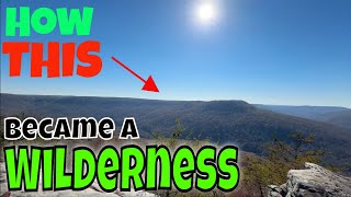What Transformed This Into Tennessee's Top-rated Wilderness Area? by Bill Marion 294 views 3 months ago 8 minutes, 22 seconds