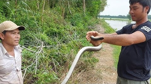 Chuyến Đi Săn Quá Đã