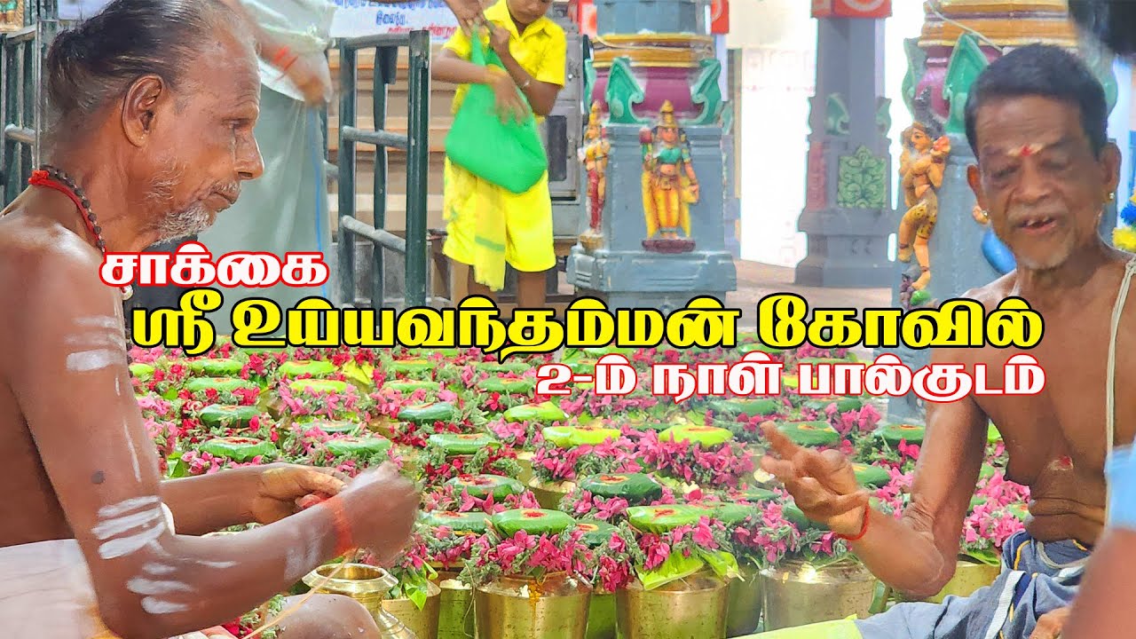 சாக்கை ஸ்ரீ உய்யவந்தம்மன் கோவில் பால்குடம் 2025 | 2-ம் நாள்  | LOCAL MEDIA