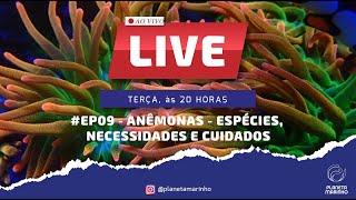 LIVE | #EP09  Anêmonas  Espécies, Necessidades e Cuidados.