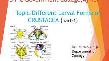 Different larval forms of Crustacea by Dr. Lalita Sukhija
