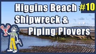 Higgins Beach Shipwreck and Piping Plovers - Scarborough Maine