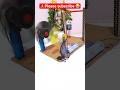 Diy wind powered Lift with Dc Gear motor #diy #viral #shorts