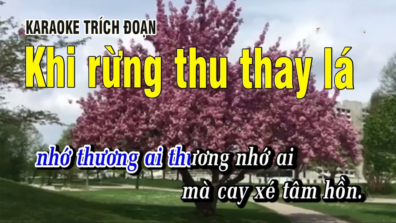 Khi rừng thu thay lá | Karaoke dây kép