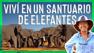 ¿CÓMO VIVEN LOS ELEFANTES en BOTSWANA, ÁFRICA? 🐘 ✈️ Valen de Viaje