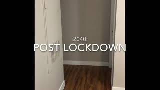 Lockdown Madness