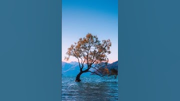 سوره الكهف بصوت يريح القلب #edit #explore #المصحف