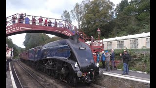 NYMR  STEAM GALA  2023