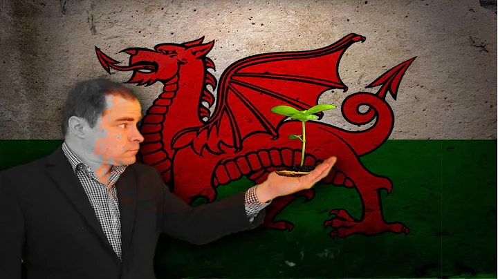 What are the origins of Welsh Language words? Roots.