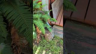 Will this leak DESTROY THE FOUNDATION OF OUR HOME?