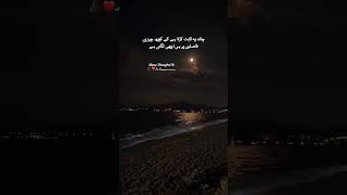 True💯🥺💔🥀#4line #poetry#quotes#urdupoetry#urdulines #sad#shayari #sadpoetry#urduquotes