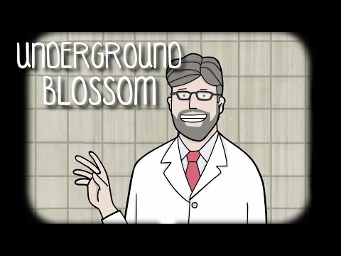 Видео: Все секретные концовки и мозго-выверт || Underground blossom #Финал
