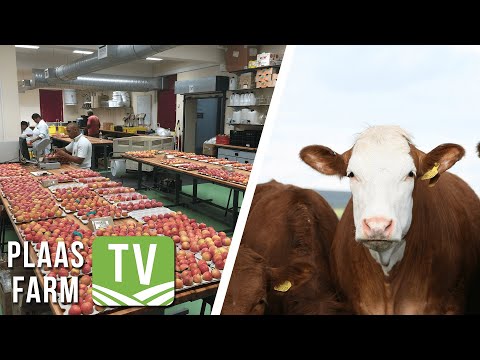 Plaas TV / Farm TV 9 June: Afname in veediefstal / Nuwe US-navorsingsleerstoel