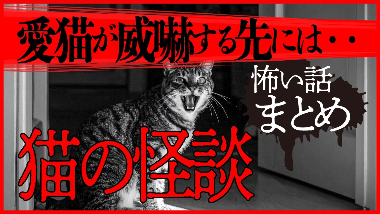 【短編まとめ怪談】猫に纏わる怖い話・・・ - YouTube