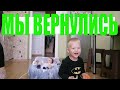 МЫ ВЕРНУЛИСЬ. БЕЗ ТОРМОЗОВ. БУДЕМ ВКУСНО КУШАТЬ.