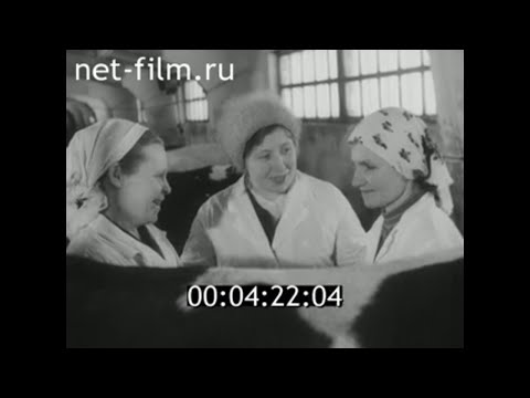 1977г. совхоз Дятьково
