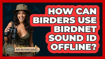 How Can Birders Use BirdNET Sound ID Offline? - Bird Watching Diaries