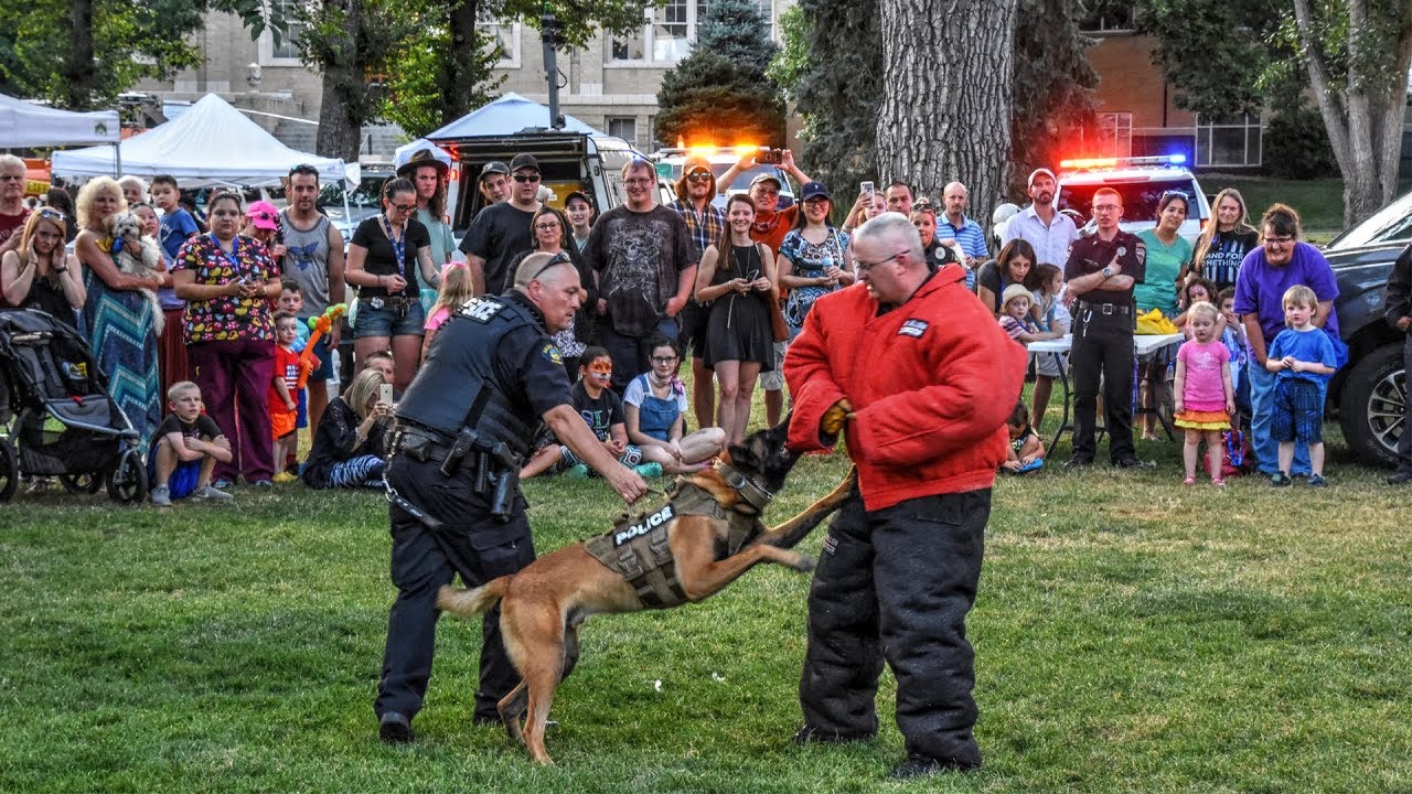 2019 City of Golden National Night Out -  K9 Demo